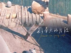 -沈阳森林动物园