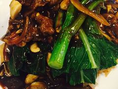 -翠华餐厅(旺角文华商场店)