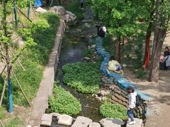 -白水寺森林公园