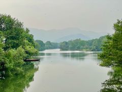 -西溪国家湿地公园