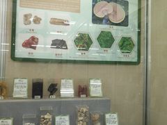 -北京中医药大学-中医药博物馆
