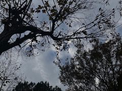 -雨花胜境