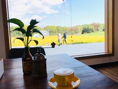 -MUSEO COFFEE咖啡博物馆