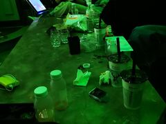 -格莱美量贩式KTV(国信店)