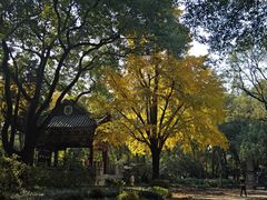 -秋霞圃