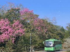 -中国科学院西双版纳热带植物园