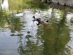 -三里河公园