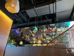 -大头椰·椰子鸡火锅(南宁万象城店)