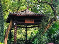 -融水老君洞景区