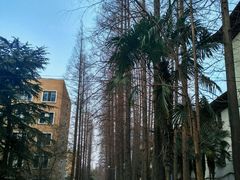 -同济大学四平路校区游泳馆