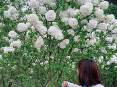 -盘龙城国家考古遗址公园