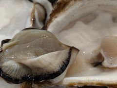 -宾朋海鲜饭庄(兴海路店)