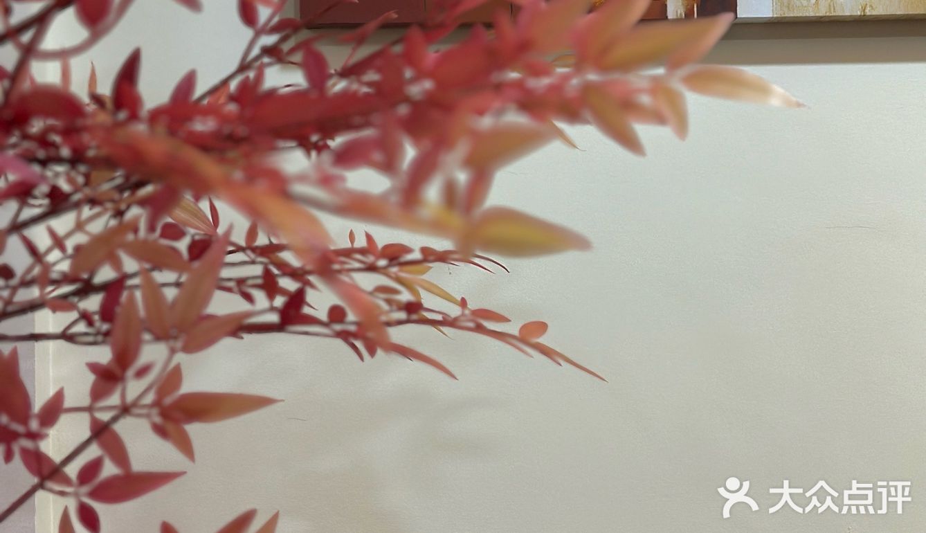 在点将台街‼️终于也有我心心念念的茶泡饭了🐤♥️