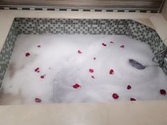 -兴芮温泉度假区