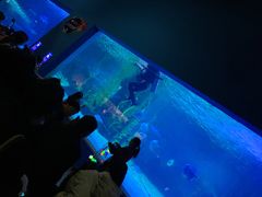 -常州海昌海洋探索馆