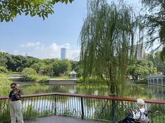 -四海公园(南山区)
