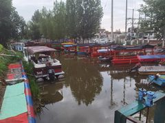 -白洋淀景区
