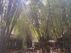 -勐丽梦兰傣味餐厅