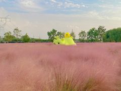 -嘉北郊野公园
