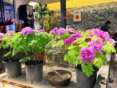 -杏花村水席楼·洛阳水席(老城十字街店)