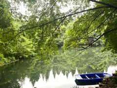 -东平国家森林公园