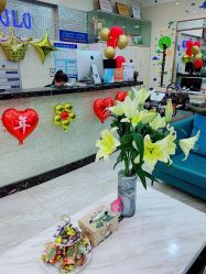-SOLO Hair Salon