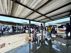 -尼甘布海鲜市场