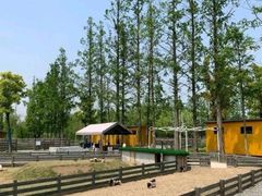 -前小桔亲子创意农场·草莓采摘·露营烧烤