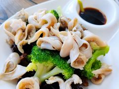 辣根鸟贝-鲁前海沿儿