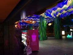 -青岛嘉年华主题乐园