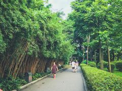 -晓港公园