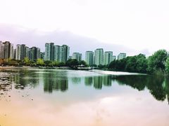 -新江湾城公园