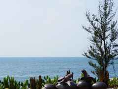-广东惠东海龟国家级自然保护区