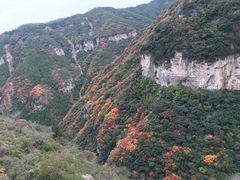 -黄花溪