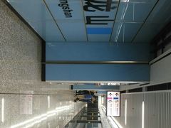 -大龙山(地铁站)