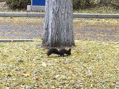 -中国建设银行哈尔滨培训中心