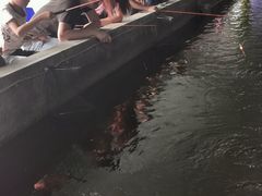 -会江钓鱼钓虾烧烤场