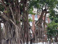 -集美学村