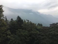 -广州市石门国家森林公园