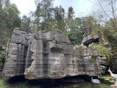 -梭布垭石林景区