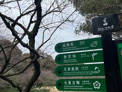 -杭州植物园