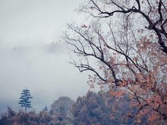-塔川景区