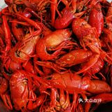 护士节的特殊礼物