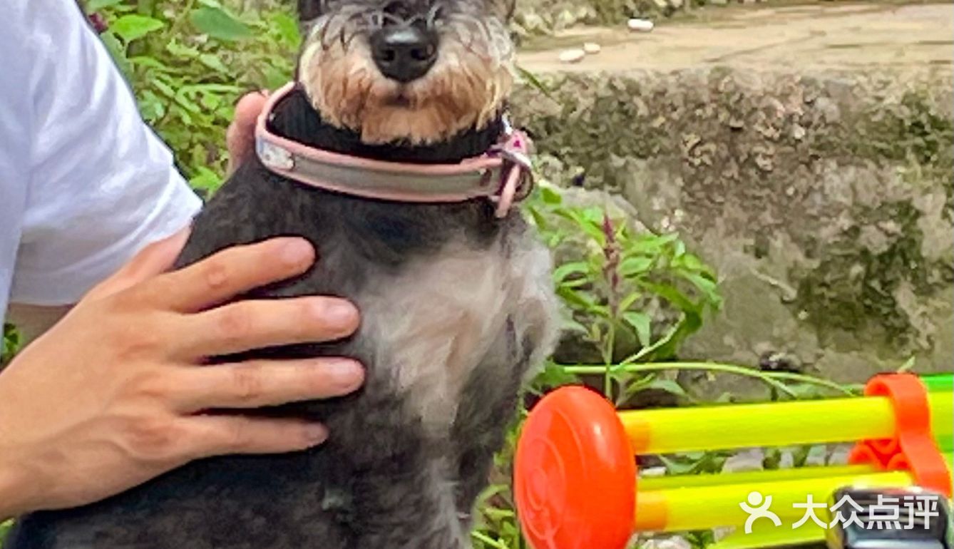 成都周边游｜60元王婆岩玩一天🚗只需2小时