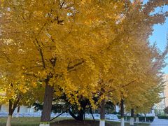 -锦江富园大酒店-游泳馆