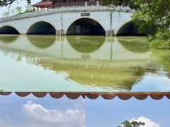 -大湾区中央湿地公园