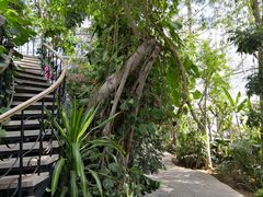 -北京植物园-展览温室
