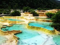 -黄龙山原始森林景区