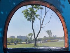 -昆山城市生态森林公园