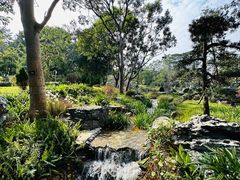 -东莞植物园